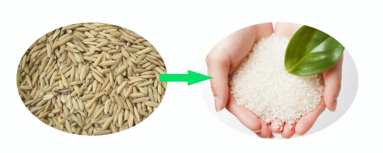Milltec Rice Whitener process
